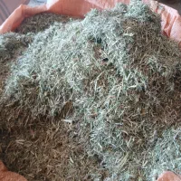 کاه خار شتر کوبیده نرم مثل یونجه