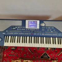 ارگ Korg Pa800 در حد