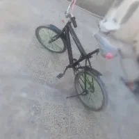 دوچرخه سواری 24در حدنو