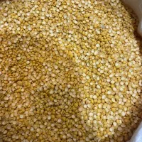 فروش عمده برنج ایرانی و خارجی و....