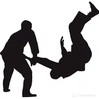 آموزش خصوصی رزمی(MMA)جوجیتسو ودفاع شخصی