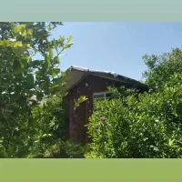 تالارجشن و خونه باغ و سویت اقامتی کوتاه مدت|اجارهٔ کوتاه‌مدت آپارتمان و سوئیت|ایذه, |دیوار
