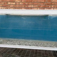 آکواریوم|ماهی|اهواز, کوی قائم|دیوار