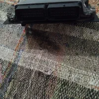 کامپیوتر ecu پژو 405 سمند ...|قطعات یدکی و لوازم جانبی|مشهد, نوده|دیوار
