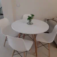 میز و صندلی راش