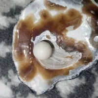 مرواریداصل همراه باصدف|جواهرات|مشهد, احمدآباد|دیوار