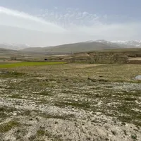 مشارکت در ساخت و تولید و پرورش شتر مرغ