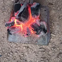 فروش زغال|عمده‌فروشی|جهرم, |دیوار