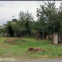 زمین 260و280|فروش زمین و ملک کلنگی|گوراب زرمیخ, |دیوار