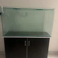 آکواریوم و میز زیر