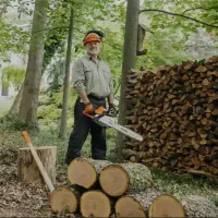 خدمات درخت بری در محل بدون هزینه