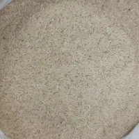 برنج فجرسوزنی