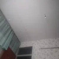 همخونه