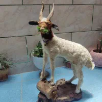 مجسمه|مجسمه، تندیس، ماکت|یاسوج, |دیوار