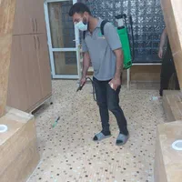 سمپاشی حرفه‌ای موریانه، سوسک وآفت‌های مختلف،تضمینی|خدمات نظافت|شیراز, دروازه اصفهان|دیوار