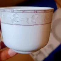 سرویس چینی زرین پارچ ولیوان امپراتور|ظروف سرو و پذیرایی|تهران, تهرانسر شمالی|دیوار