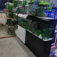 فروش انواع اکواریوم و انواع ماهی