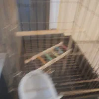 وسایل خانگی وآرایشگاهی|حراج|اردبیل, |دیوار