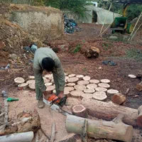 خدمات باغبانی و فضای سبز