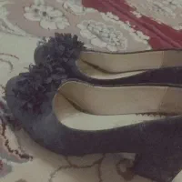 کفش مجلسی