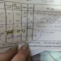 انگشتر طلا|جواهرات|شیراز, پودنک|دیوار