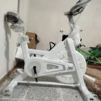 دوچرخه ثابت