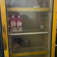 یخچال چهار در و تک در|کافی‌شاپ و رستوران|اشتهارد, |دیوار