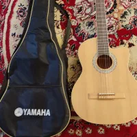 گیتار حرفه تی