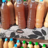 سرکه سیب|خوردنی و آشامیدنی|محلات, |دیوار