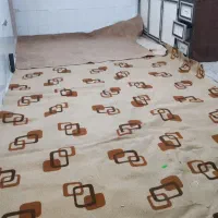 موکت طرح دار