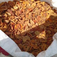 زردالو