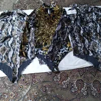 تعدادی بادی مخمل