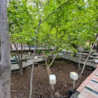 اجاره ویلا لب اب ساحلی درجه ۱ سه خواب ظرفیت بالا|اجارهٔ کوتاهمدت ویلا و باغ|لنجان, |دیوار