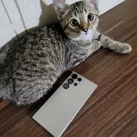 گوشی سامسونگ  s24 ultra