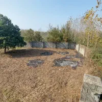 زمین-و-باغ-فوری-فروشی