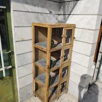 جفت کنی کفتر|لوازم جانبی حیوانات|اسلام‌شهر, مظفریه|دیوار