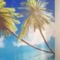 نصاب کاغذدیواری.کفپوش چمن مصنوعی موکت بومی بندر|خدمات پیشه و مهارت|بندرعباس, |دیوار