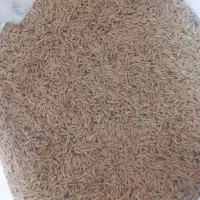 جو دیمه|خدمات باغبانی و درختکاری|تربت جام, جامرود|دیوار