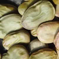 باقالی باقلا(فقط بشرط)
