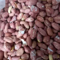 برنج هاشمی آستانه اشرفیه با کیفیت درجه یک|خوردنی و آشامیدنی|لاهیجان, کوی آزادگان|دیوار