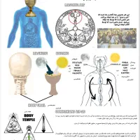 کتاب حکمت الهی|کتاب و مجله مذهبی|کرمان, |دیوار