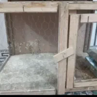 جفت کن کبوتر|لوازم جانبی حیوانات|پاکدشت, شهرک امام رضا|دیوار