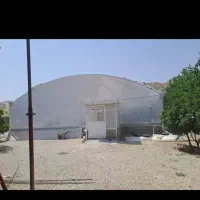 تهاتر یا فروش گلخانه ارگانیک در منطقه دشمن زیاری|گل و گیاه طبیعی|دشمن زیاری, |دیوار