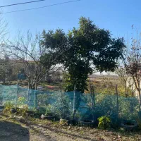 فروش-زمین-مسکونی-دوبر