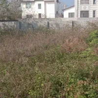 فروش-زمین700متری-مسکونی-سند-تک-برگ-منطقه-آزاد