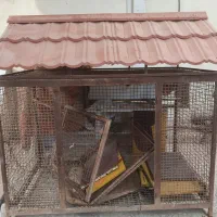 قفس سگ، مرغ|حیوانات مزرعه|ابریشم, |دیوار