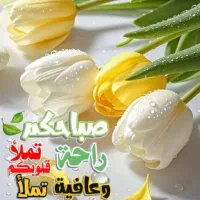 دو گفتگوی عربی ست