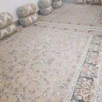 قالی|فرش|زاهدان, |دیوار