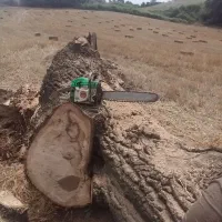 سلام خریدار انواعی چوب باغی ساختمانی داخله حیاط