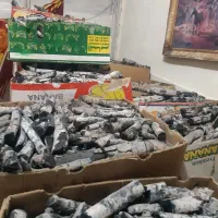 ذغال پسته قلم درجه ۱|عمدهفروشی|خمینیشهر, |دیوار